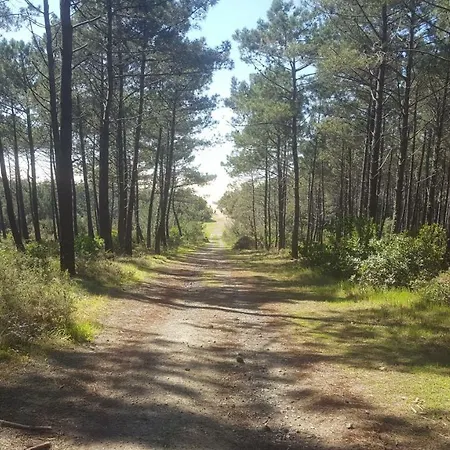 Hacienda * Messanges (Landes)